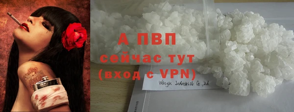 гидра Осташков