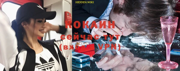 дмт Осинники