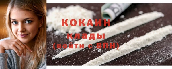 стаф Видное